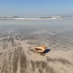 Praia do Cassino - Rio Grande