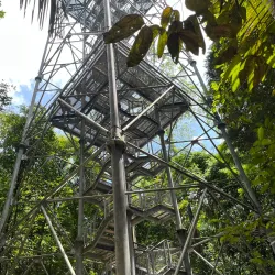 Birdwatching Sites - Rio Negro