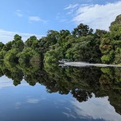 Jaú National Park - Rio Negro