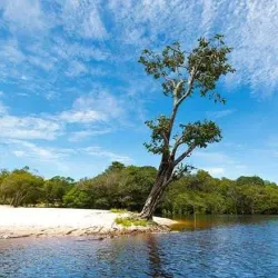 Rio Negro River - Rio Negro