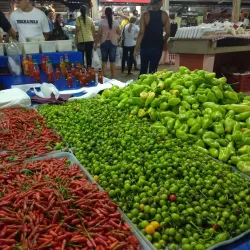 Feira do Produtor - Rondonópolis