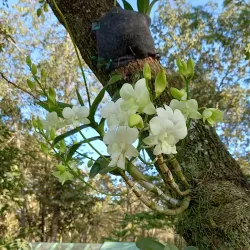 Parque Municipal de Rondonópolis - Rondonópolis