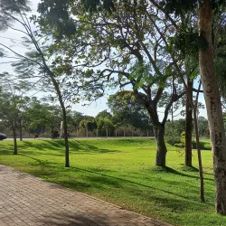 Parque Natural Municipal da Mata do Cerrado - Rondonópolis