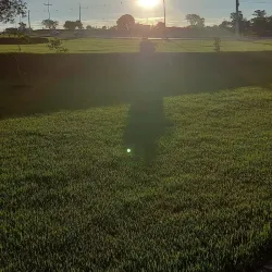 Parque Natural Municipal da Mata do Cerrado - Rondonópolis