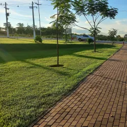 Parque Natural Municipal da Mata do Cerrado - Rondonópolis