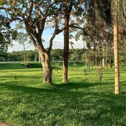 Parque Natural Municipal da Mata do Cerrado - Rondonópolis