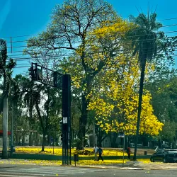 Praça das Bandeiras - Rondonópolis