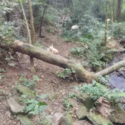 Cachoeira do Matão - Salto