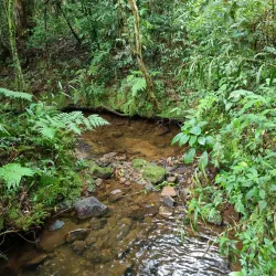Cachoeira do Matão - Salto