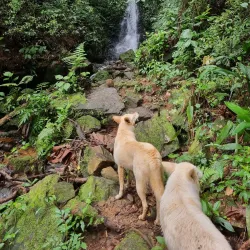 Cachoeira do Matão - Salto