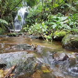 Cachoeira do Matão - Salto