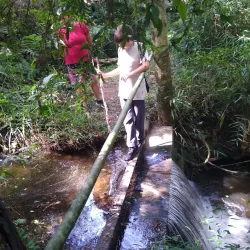 Cachoeira do Matão - Salto
