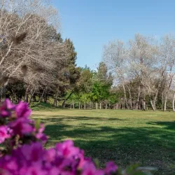 Parque da Cidade (City Park) - Salto
