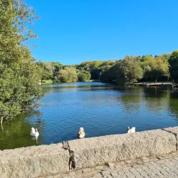 Parque da Cidade (City Park) - Salto