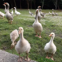 Parque da Cidade (City Park) - Salto