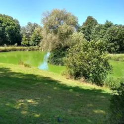 Parque da Cidade (City Park) - Salto