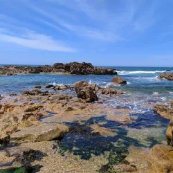 Parque da Cidade (City Park) - Salto