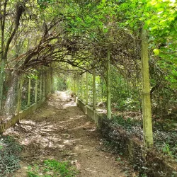 Parque Ecológico do Matão - Salto
