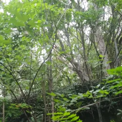 Parque Ecológico do Matão - Salto