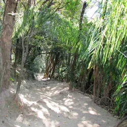 Parque Ecológico do Matão - Salto