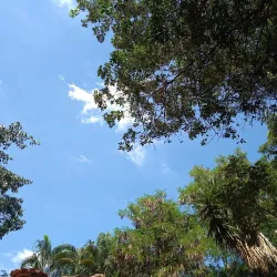 Parque Ecológico do Matão - Salto