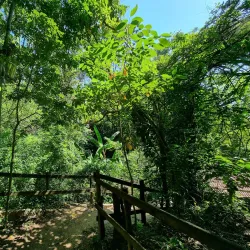 Parque Ecológico do Matão - Salto