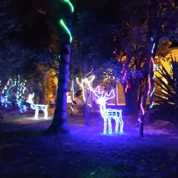 Parque Ecológico do Matão - Salto