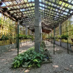 Parque Ecológico do Matão - Salto