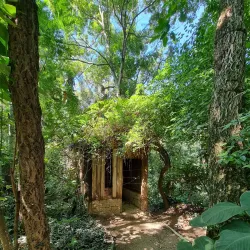 Parque Ecológico do Matão - Salto