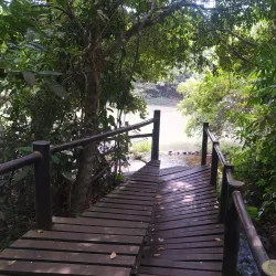 Parque Natural Municipal do Salto - Salto