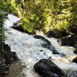 Parque Natural Municipal do Salto - Salto