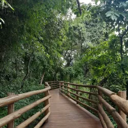 Salto Waterfall (Cachoeira do Salto) - Salto
