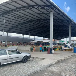 Local Markets - Santaluz