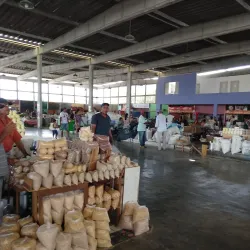 Local Markets - Santaluz