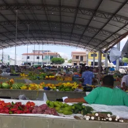 Local Markets - Santaluz