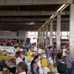 Local Markets - Santaluz