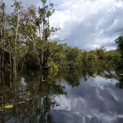 Floresta Nacional do Tapajós (Tapajós National Forest) - Santarém