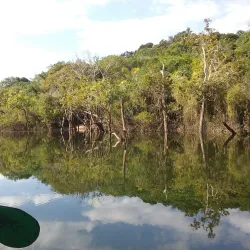 Floresta Nacional do Tapajós (Tapajós National Forest) - Santarém