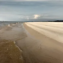 Floresta Nacional do Tapajós (Tapajós National Forest) - Santarém