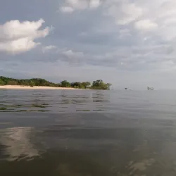 Floresta Nacional do Tapajós (Tapajós National Forest) - Santarém