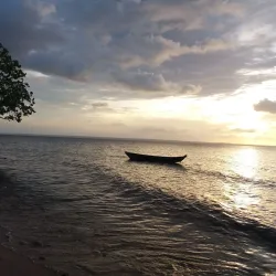 Floresta Nacional do Tapajós (Tapajós National Forest) - Santarém