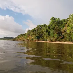 Floresta Nacional do Tapajós (Tapajós National Forest) - Santarém