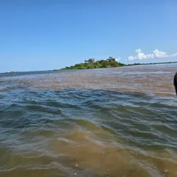 Meeting of the Waters (Encontro das Águas) - Santarém