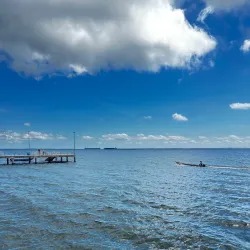 Meeting of the Waters (Encontro das Águas) - Santarém