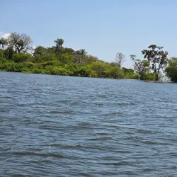 Meeting of the Waters (Encontro das Águas) - Santarém