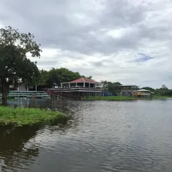 Meeting of the Waters (Encontro das Águas) - Santarém