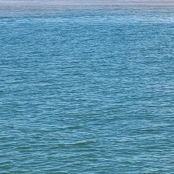 Meeting of the Waters (Encontro das Águas) - Santarém