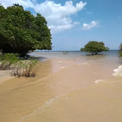 Ponta de Pedras - Santarém