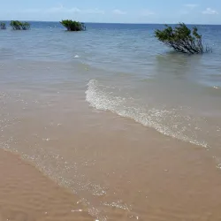 Ponta de Pedras - Santarém