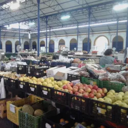Santarém Municipal Market (Mercado Municipal) - Santarém